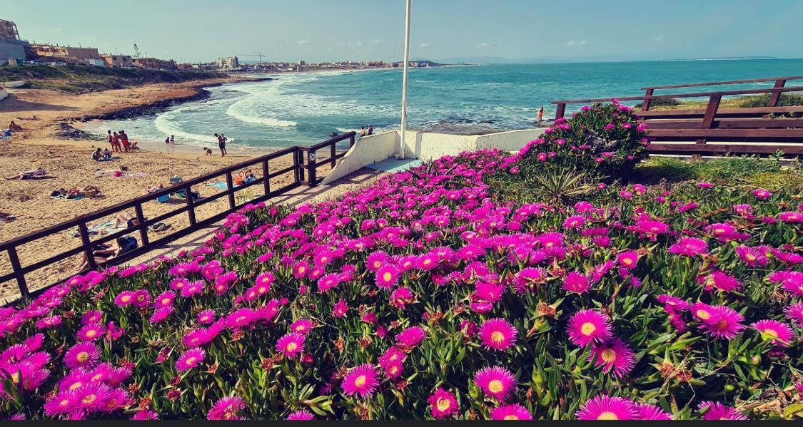 La Mata, Torrevieja Διαμέρισμα Εξωτερικό φωτογραφία